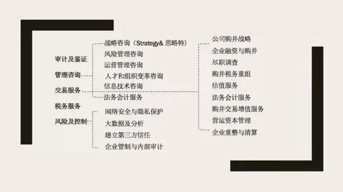 四大咨詢之外 信息技術(shù)咨詢服務(wù)的優(yōu)勢與機(jī)遇